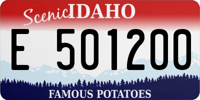 ID license plate E501200