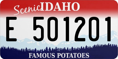 ID license plate E501201