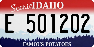 ID license plate E501202