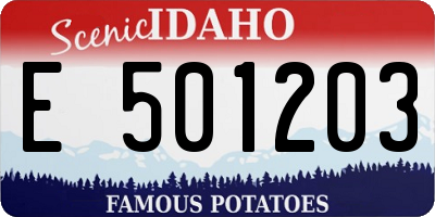 ID license plate E501203