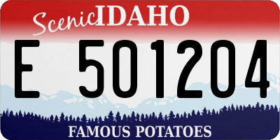 ID license plate E501204