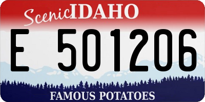 ID license plate E501206