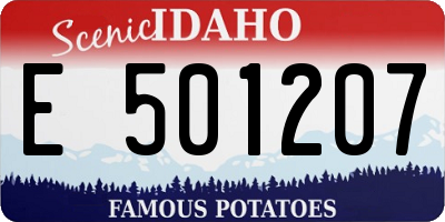 ID license plate E501207