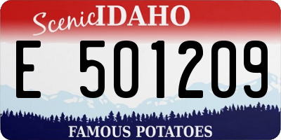 ID license plate E501209