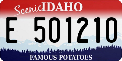 ID license plate E501210