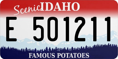 ID license plate E501211