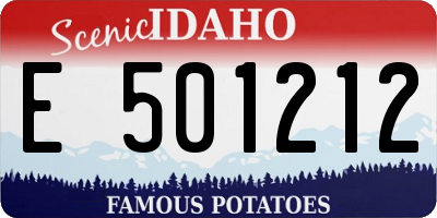 ID license plate E501212
