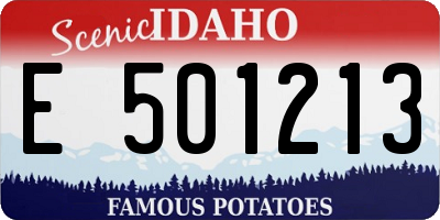 ID license plate E501213