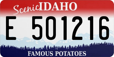 ID license plate E501216