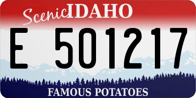 ID license plate E501217
