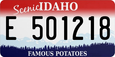 ID license plate E501218