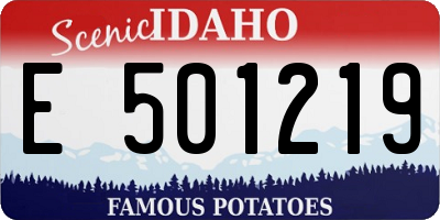 ID license plate E501219