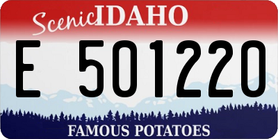 ID license plate E501220