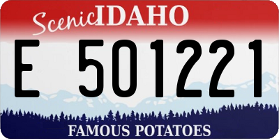 ID license plate E501221