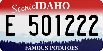 ID license plate E501222