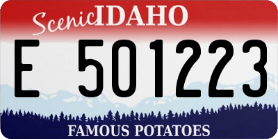 ID license plate E501223