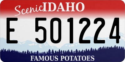 ID license plate E501224