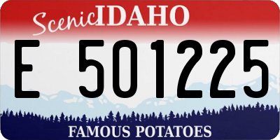 ID license plate E501225
