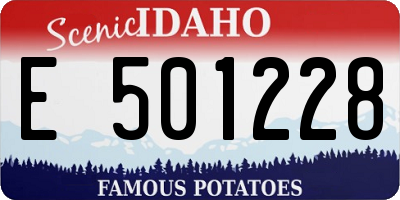 ID license plate E501228