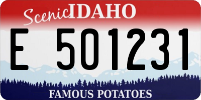 ID license plate E501231