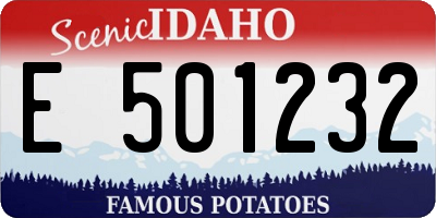 ID license plate E501232