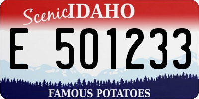ID license plate E501233