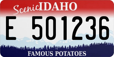 ID license plate E501236