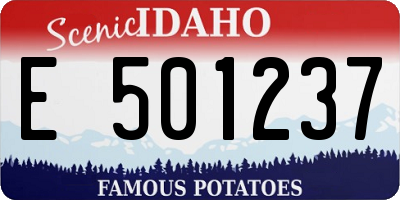 ID license plate E501237