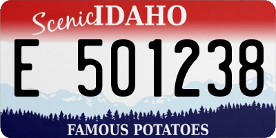 ID license plate E501238