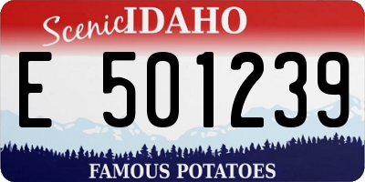 ID license plate E501239