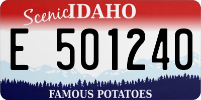 ID license plate E501240