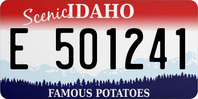 ID license plate E501241