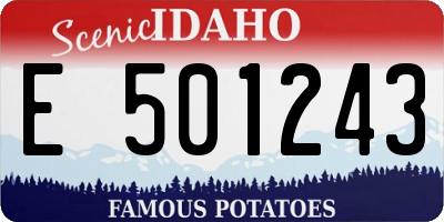 ID license plate E501243