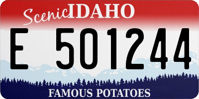 ID license plate E501244