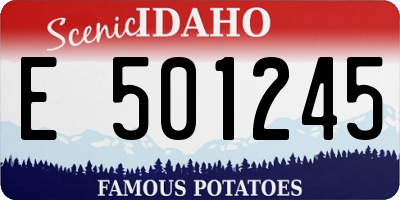 ID license plate E501245