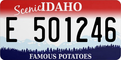 ID license plate E501246