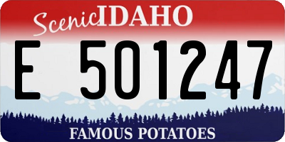 ID license plate E501247