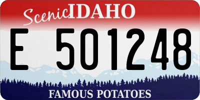 ID license plate E501248