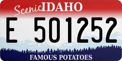 ID license plate E501252