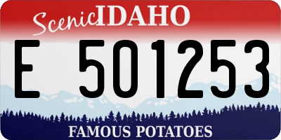 ID license plate E501253