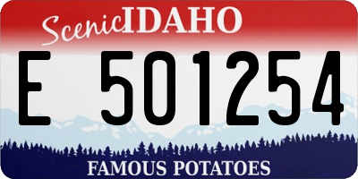 ID license plate E501254