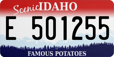 ID license plate E501255
