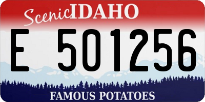 ID license plate E501256