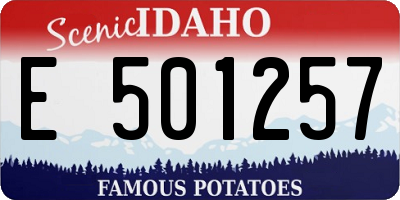 ID license plate E501257