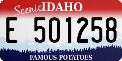 ID license plate E501258
