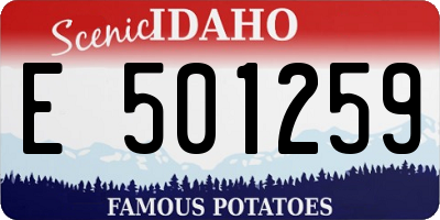 ID license plate E501259
