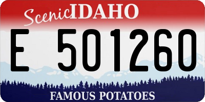 ID license plate E501260