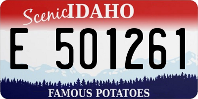 ID license plate E501261