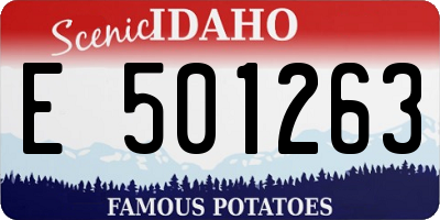ID license plate E501263
