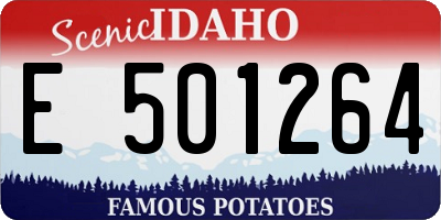 ID license plate E501264
